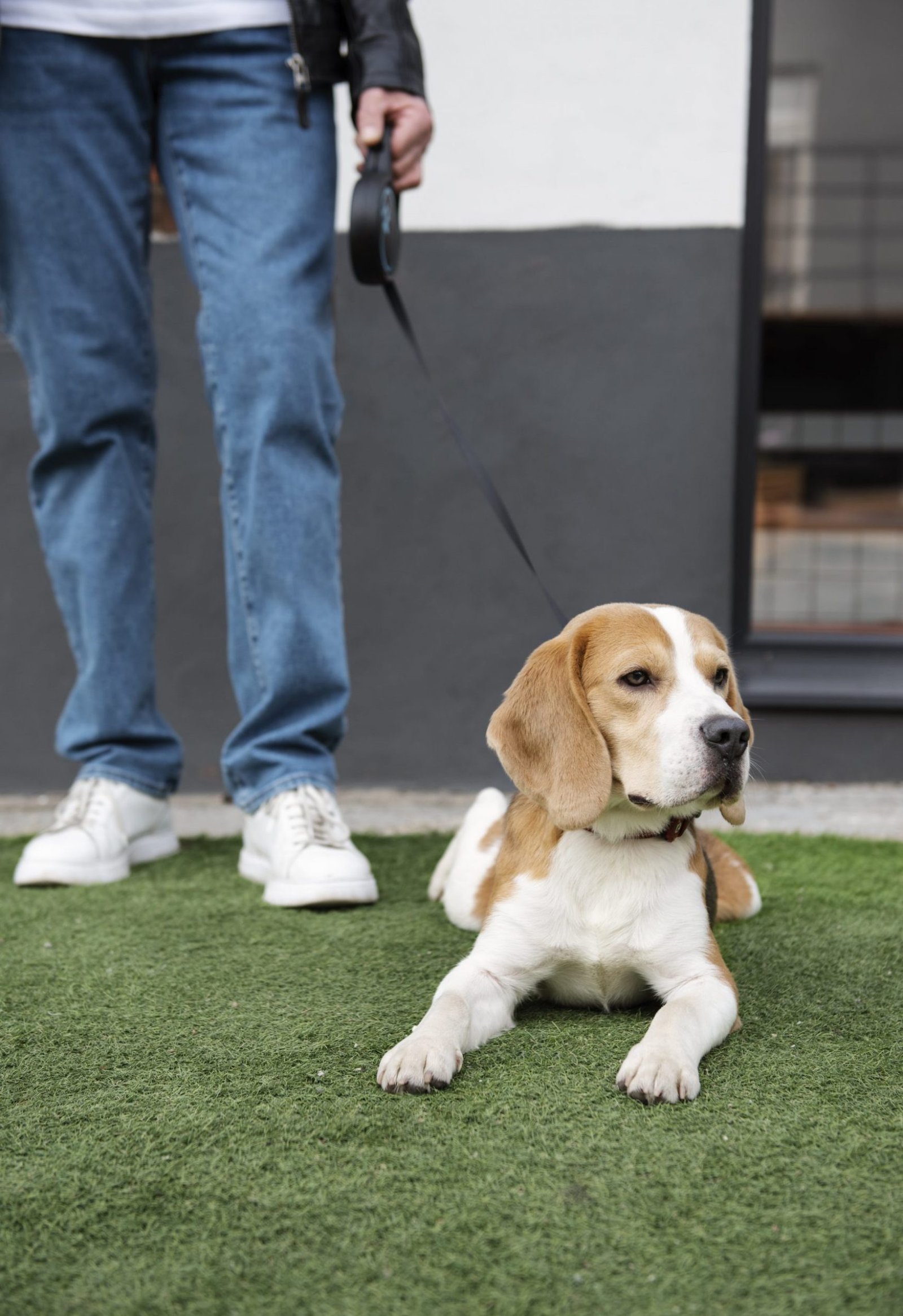 old-person-with-their-pet-dog-min